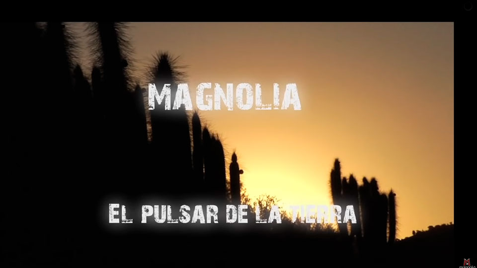 MAGNOLIA Blues Rock - El Pulsar de la Tierra 